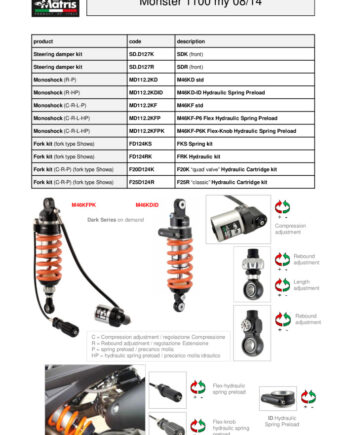 thumbnail of Ducati Monster 1100 08-14 web