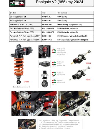 Panigale V2 955 (20-24)