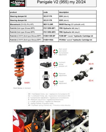 Panigale V2 955 (20-24)