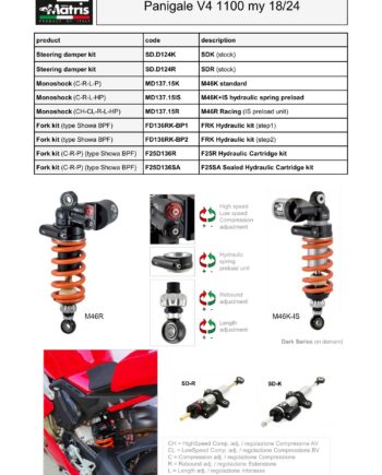 Panigale V4 1100 18-24