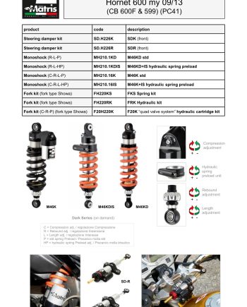 Hornet 600 09-13