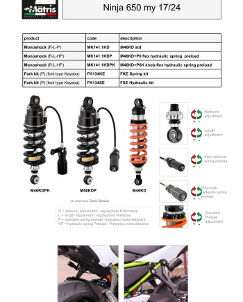 Ninja 650 17-24