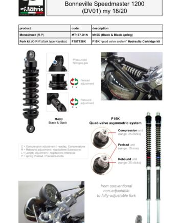Bonneville Speedmaster 1200 18-20