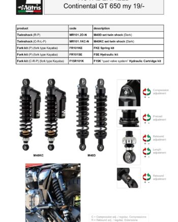 Continental GT 650 19-