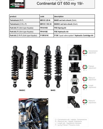 Continental GT 650 19-