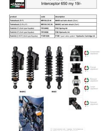 Interceptor 650 19-