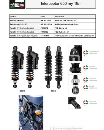 Interceptor 650 19-