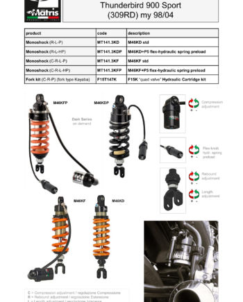 Thunderbird 900 Sport 98-04