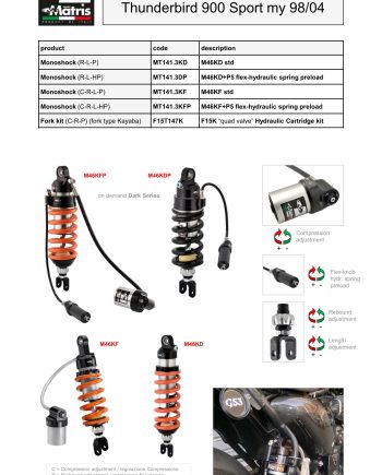 Thunderbird 900 Sport 98-04