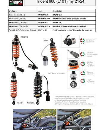 Trident 660 (21-24)