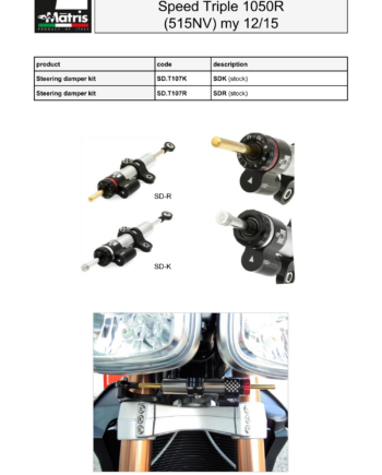 Speed Triple 1050R (12-15)