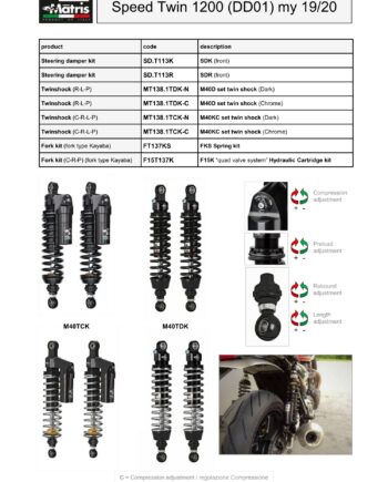 Speed Twin 1200 (19-20)